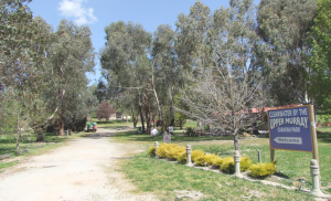 Entrance